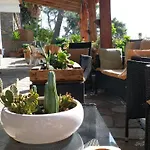 La Pineta 3*