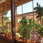 La Pineta Hotel Marina dʼAndora