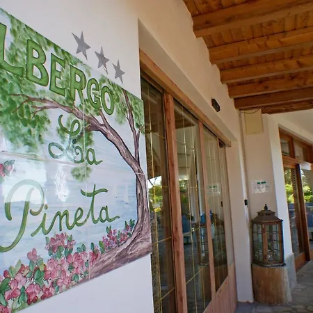 La Pineta מלון
