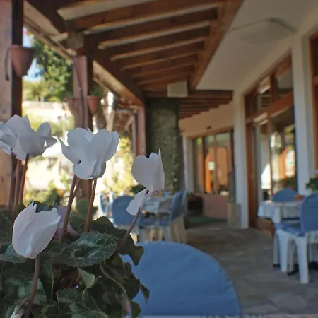 Hotel La Pineta 3*
