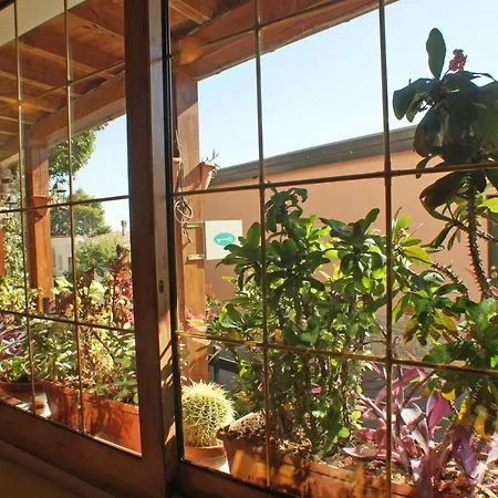 La Pineta Hotel Marina dʼAndora