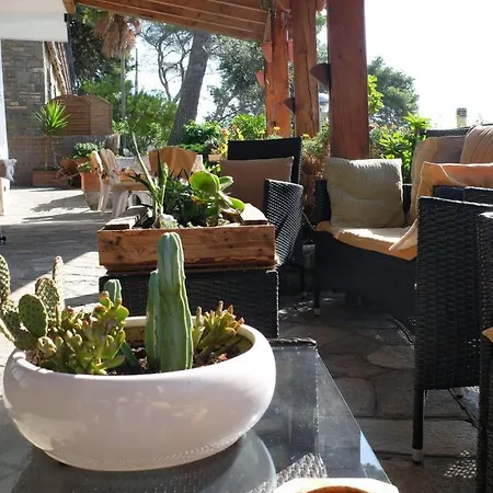 La Pineta 3*