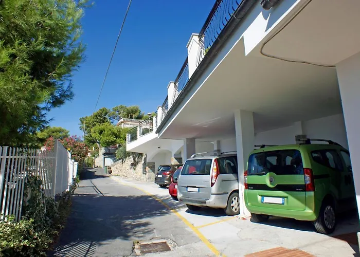 酒店 松树园酒店 3*