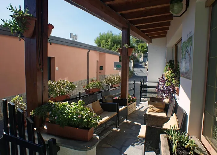 La Pineta