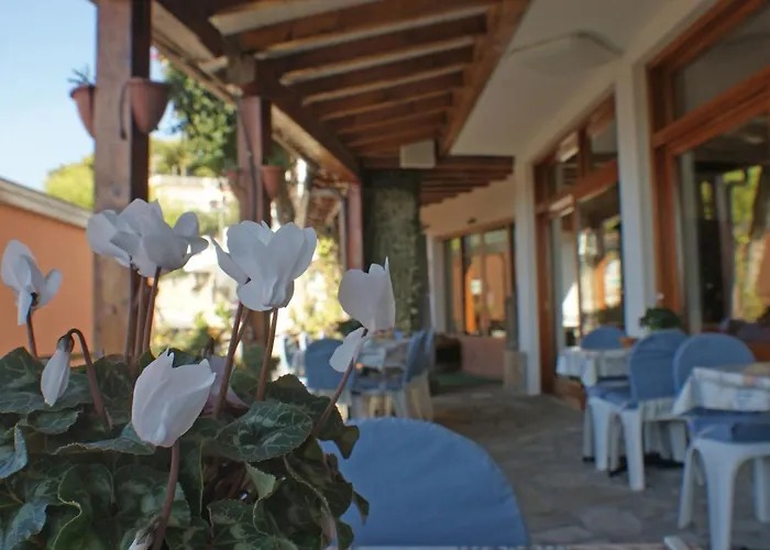 Hotel La Pineta 3*